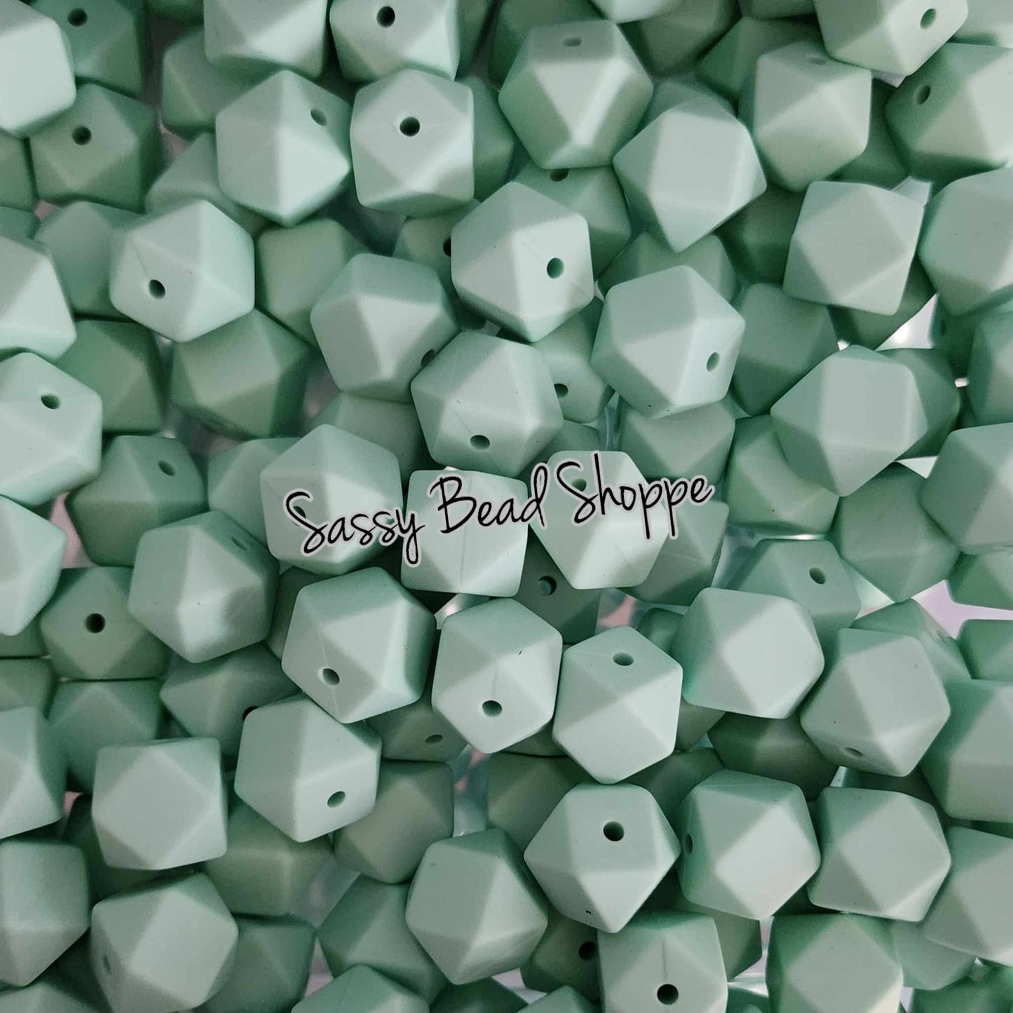 Sassy Bead Shoppe
Mint Hexagon Silicone Beads